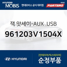차량옥스usb