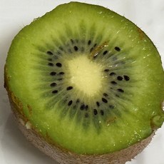 국내산 참다래 그린키위, 1개, 1kg 소 (12과 내외)