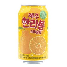 [천지개벽] 천지개벽 한라봉 스파클링 355 24 can, 상세페이지 참조