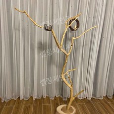 앵무새 횟대 놀이터 새장 원목 대형 횃대 스탠드 나무, 70cm, F