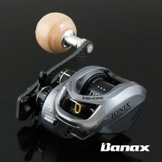 바낙스아이오닉스인쇼어