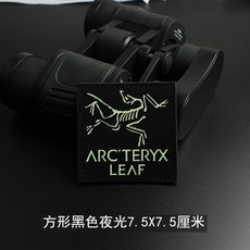 아크테릭스패치