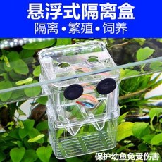 다기능 열대어 구피어항 션슨 공작어 번식함 어항 격리 두어새 산란기 아크릴 인큐베이터, 02 라지 인큐베이터