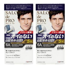 살롱드프로 셀프 일본 바르는 홈쇼핑 저자극 간편 무향료 새치염색약, 6A 붉은빛을억제한자연흑갈색, 2개