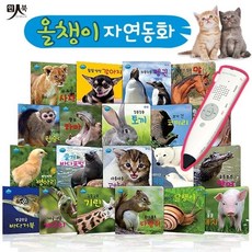 올챙이자연동화