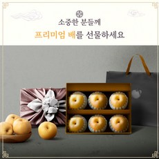 도도한식탁 배 나주 프리미엄 과일 고당도 가정용 선물용, 1박스, 5kg (6-9과)
