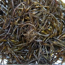 싱싱 제철 톳 생톳 4kg, 1개