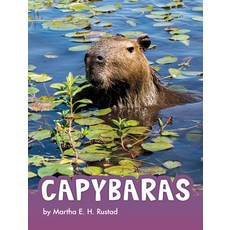 Capybaras Paperback, Pebble Books