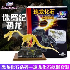 댜댜마켓 이고 EASTCOLIGHT 핸드메이드 지능계발 DIY속룡 모형 고고학 발굴함, 속룡 화석