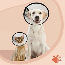 세토어 강아지 고양이 넥카라 강아지깔때기, 7호