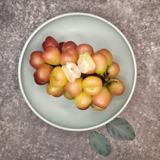 고당도 프리미엄 마이하트포도 특품 레드샤인머스켓 루비로망 2kg, 1박스