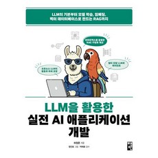 LLM을 활용한 실전 AI 애플리케이션 개발:LLM의 기본부터 모델 학습 임베딩 벡터 데이터베이스로 만드는 RAG까지, 책만, 허정준