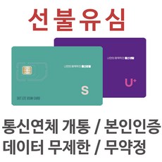 kt선불폰