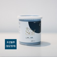 KCC 숲으로 셀프 철재용 오션블루 (암군청색) 1L 친환경 방화문 철재문 현관문페인트, 1개, 블루 - 1리터현관문