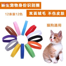 탯줄목걸이