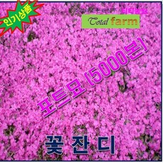 4a60b5dba7e5d10aeefa9408dfb67e165d3ea205401ba74cacf9f6fedc74.jpg