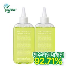 [공식] 스팀베이스 유분개선/정수리냄새케어 티트리 쿨링 스칼프 워터 스케일러 두피스케일링, 250ml, 2개