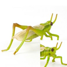 메뚜기장난감