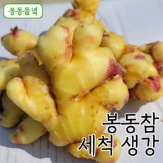 [봉동들녘]국내산 봉동참 세척 생강 3kg