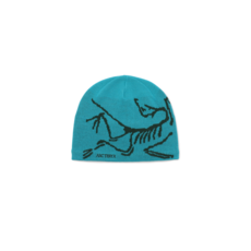 아크테릭스 BIRD HEAD TOQUE AENFUX6756