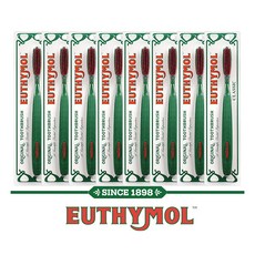 EUTHYMOL 와이드 클래식 칫솔 8개