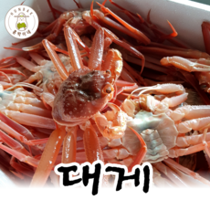 2573d16813a4396c44577c2a9c00178b9a13bf5d8f9641d766d2b2510b44.png