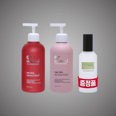 모헬스트리트먼트