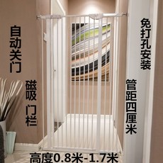 세이펫안전문