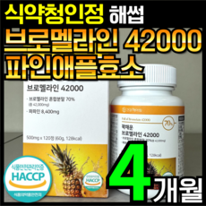 브로멜라인 TOP01
