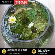 941fb99142cd6686769ffe5c077c97e84f5b727b45f2bb2a10788dabfc14.jpg