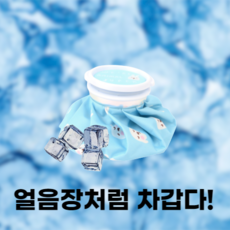 레드쿨레 골프 휴대용 얼음주머니 냉온찜질팩 1+1, 1개, 2개