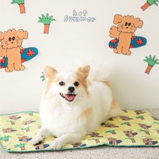스쿠티스튜디오