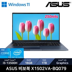 ASUS 비보북 X1502VA-BQ079 /+무선마우스, WIN11 Home, 16GB, 1TB, 콰이어트 블루