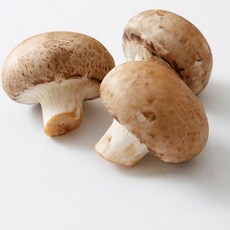 흙살림 친환경 양송이버섯 200g, 1개
