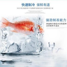 84e497b598b1cedc23882ddcd73fb810dfe7b6ec9e58e2dbc61a02e1f53d.jpeg