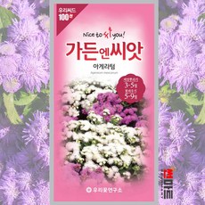 불로화