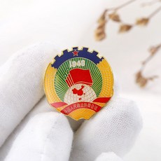 정치뱃지