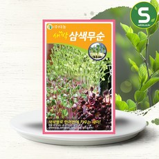 솔림텃밭몰 새싹삼색무순씨앗 12g 새싹삼색무순 새싹채소씨앗, 1개