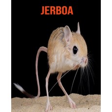 Jerboa: Fun Facts & Cool Pictures Paperback, Independently Published, English, 9798564046725