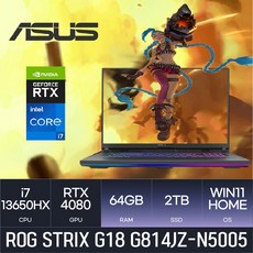 ASUS ROG STRIX G18 G814JZ-N5005, WIN11 Home, 64GB, 2TB, 코어i7, 그레이