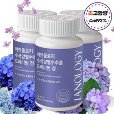 수국 TOP01
