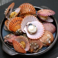 당일채취 달달 홍가리비 3kg, 1개