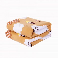 경동2인용전기장판