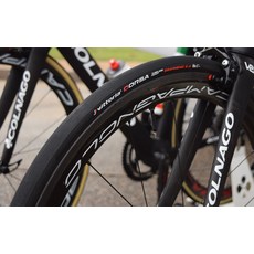 비토리아코르사