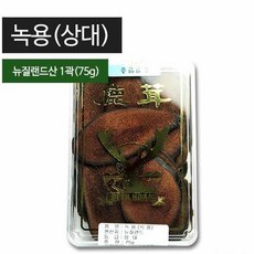 녹용(상대) 1곽(75g)/뉴질랜드산 싸고좋은 녹용 한의원 건강원 가정용 약탕기, 75g, 1개