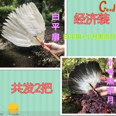 털부채