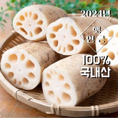 <컴팜>연근 정품 대용량 행사가 (, 2kg, 1박스