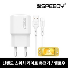 닌텐도고속충전기