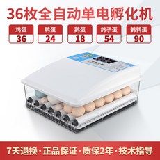 d9e0ab328bde79a4bd15ed3f21527ea62ad6c78f9cc1f7e90635fecb71cf.jpg