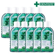 덴티스테 내추럴 오랄린스 100ml 10개, 단일속성, 1개
